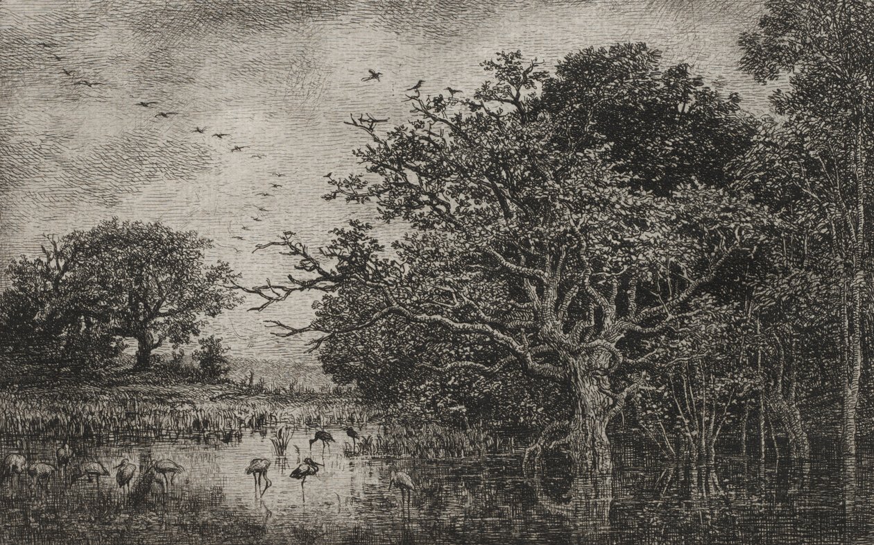 Marsken med storke, ca. 1851. af Charles Francois Daubigny