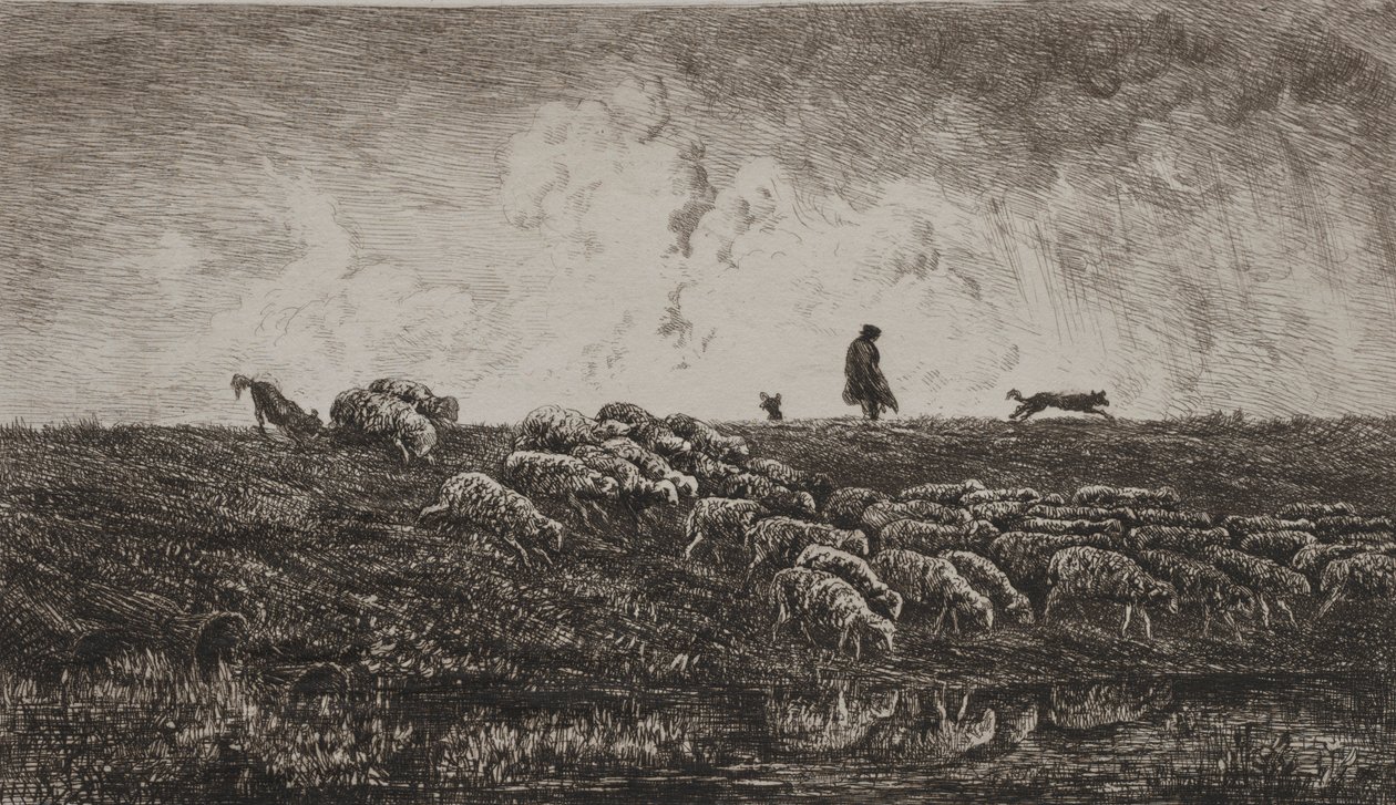 The Shower, ca. 1851. af Charles Francois Daubigny