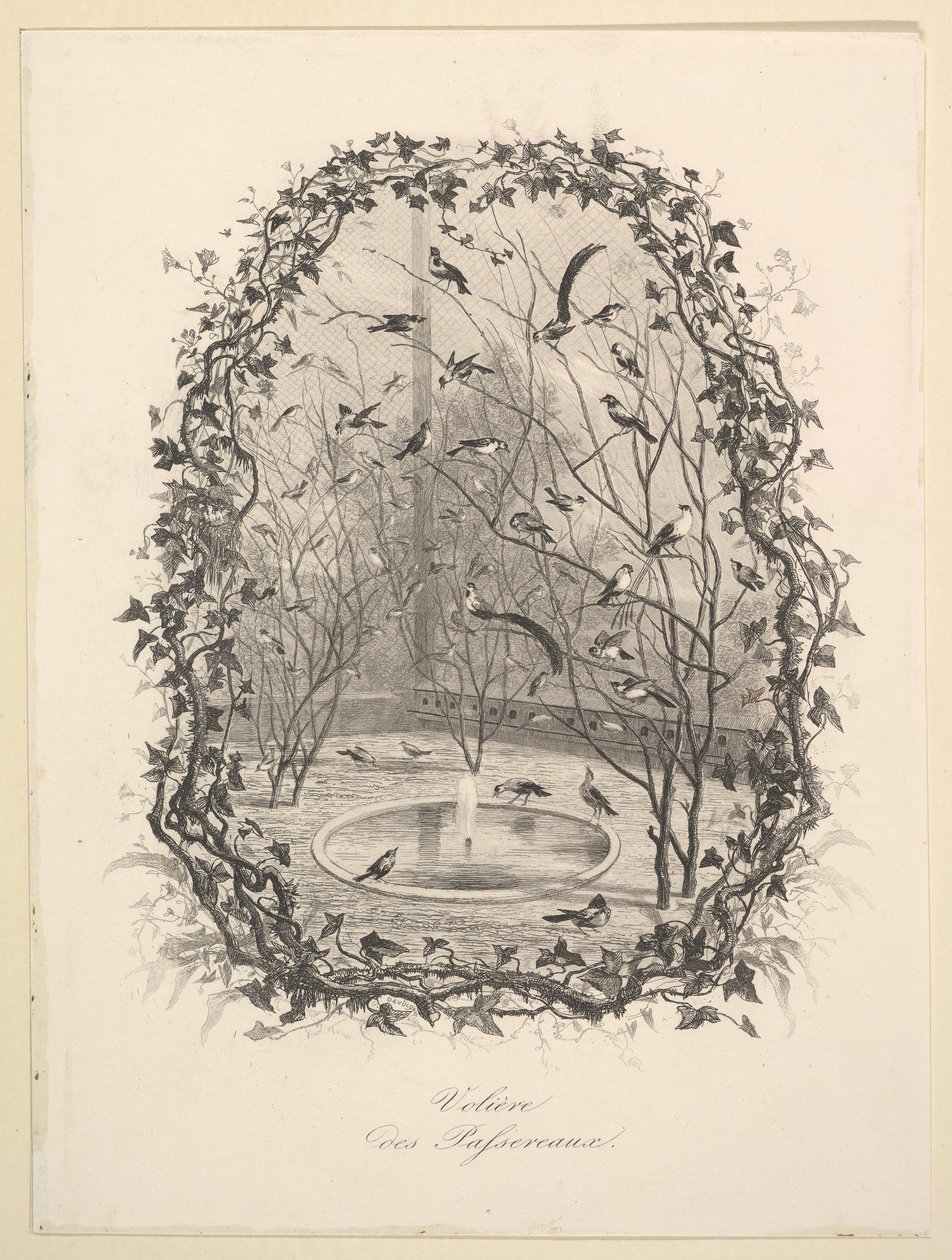 Sparrow Aviary, 1843. af Charles Francois Daubigny