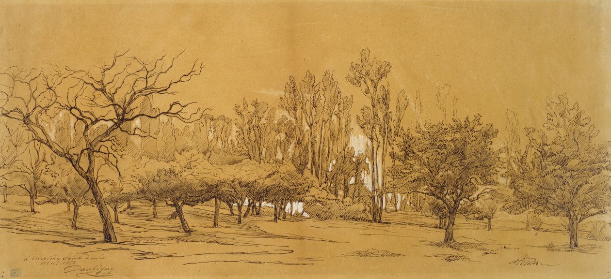 Udsigt over en frugthave ved Saint-Denis (pen og sort blæk, forstærket med hvid kropsfarve og berørt med sort kridt eller trækul, på stift råhvidt papir) af Charles Francois Daubigny