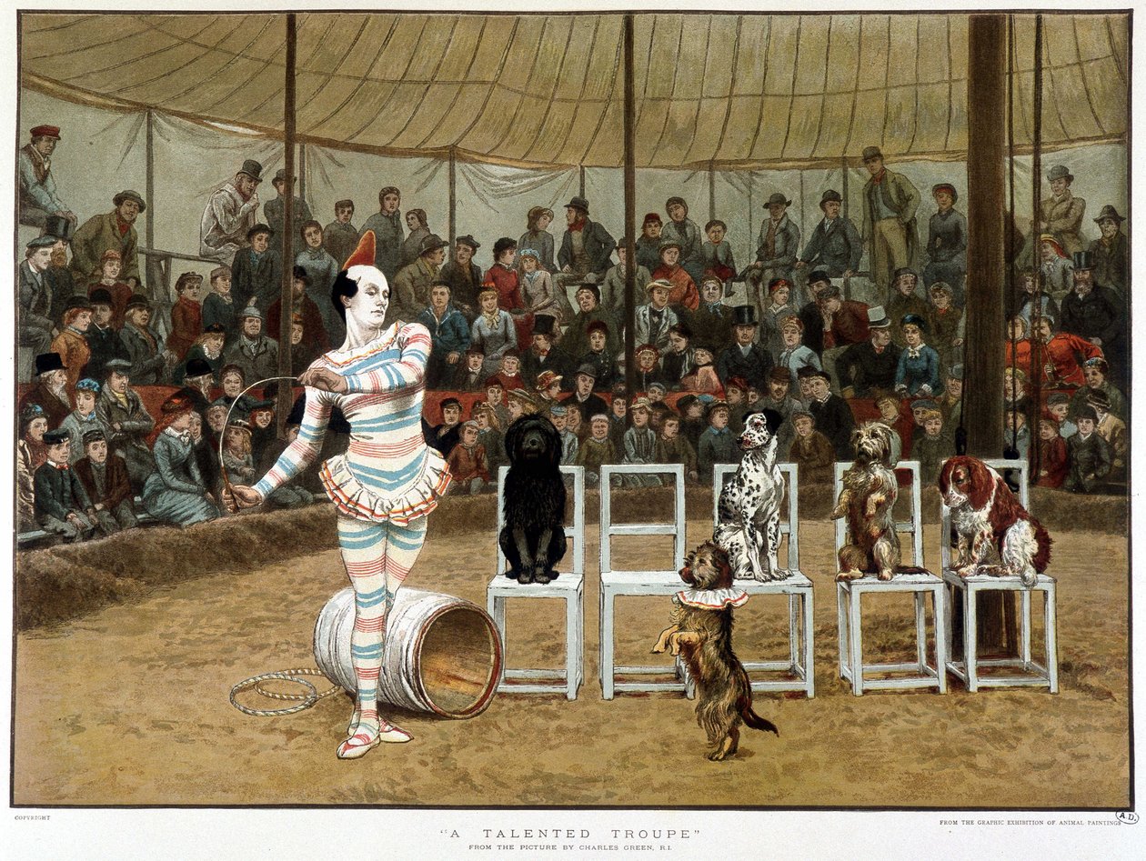 De lærde hunde: cirkusscene med klovn og hunde - efter Charles Green, engelsk chromo 1885. ¿De lærde hunde: cirkusscene med klovn og hunde - efter Charles Green, engelsk chromo 1885. ¿ af Charles Green
