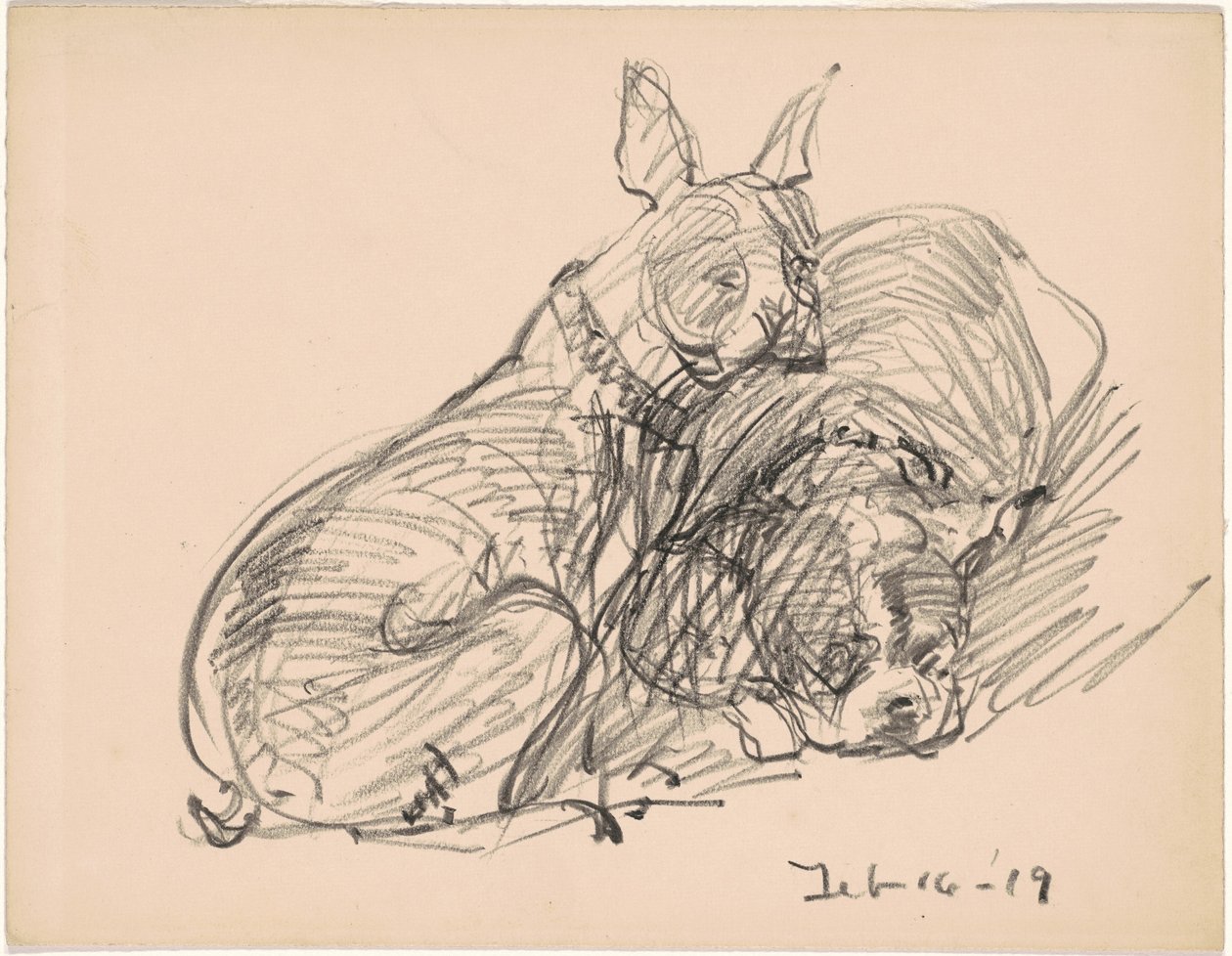 To Hunde af Charles H. Woodbury