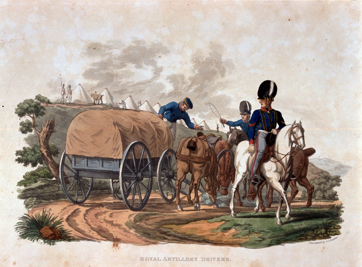 Royal Artillery Drivers, fra 