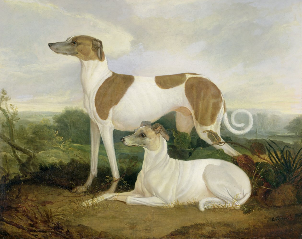 To Greyhounds i et Landskab af Charles Hancock