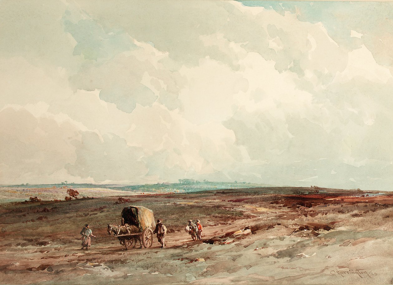 På Ashdown Forest Reserve, 1925 af Charles Harrington