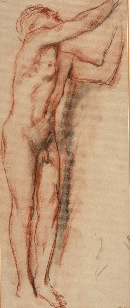 Mand nøgen (kridt på papir) af Charles Haslewood Shannon