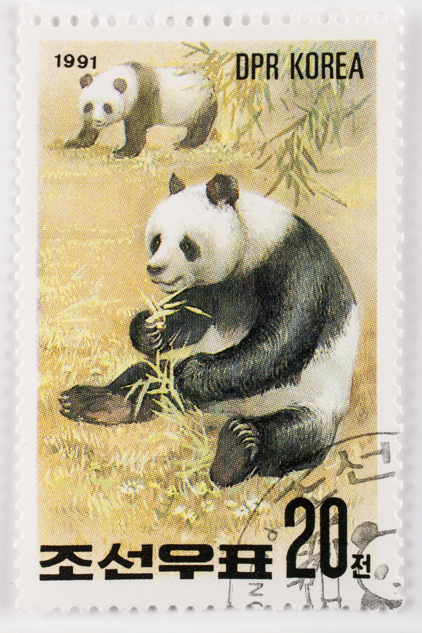 Frimærke/Nordkorea/Ailuropoda melanoleuca/Grand panda/Giant Panda af Augustus Kollner