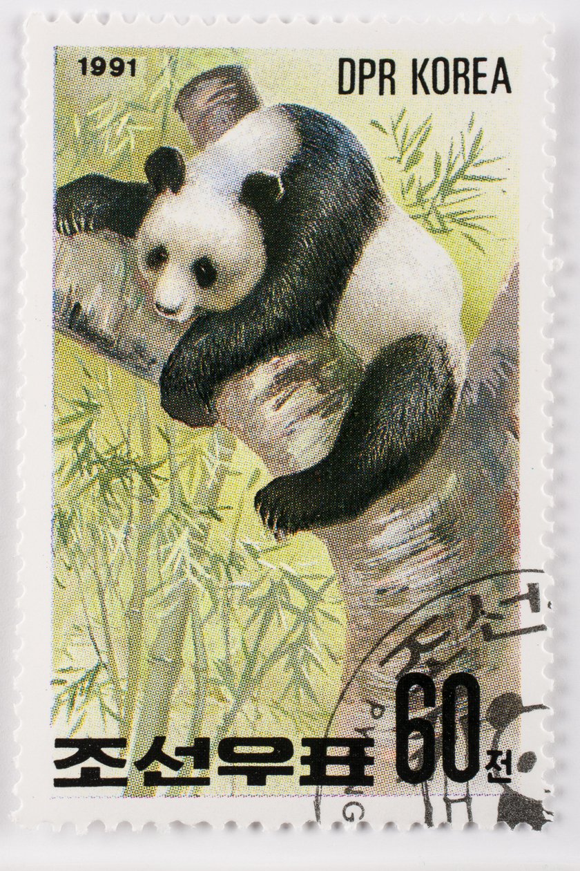 Frimærke/Nordkorea/Ailuropoda melanoleuca/Grand panda/Giant Panda af Augustus Kollner