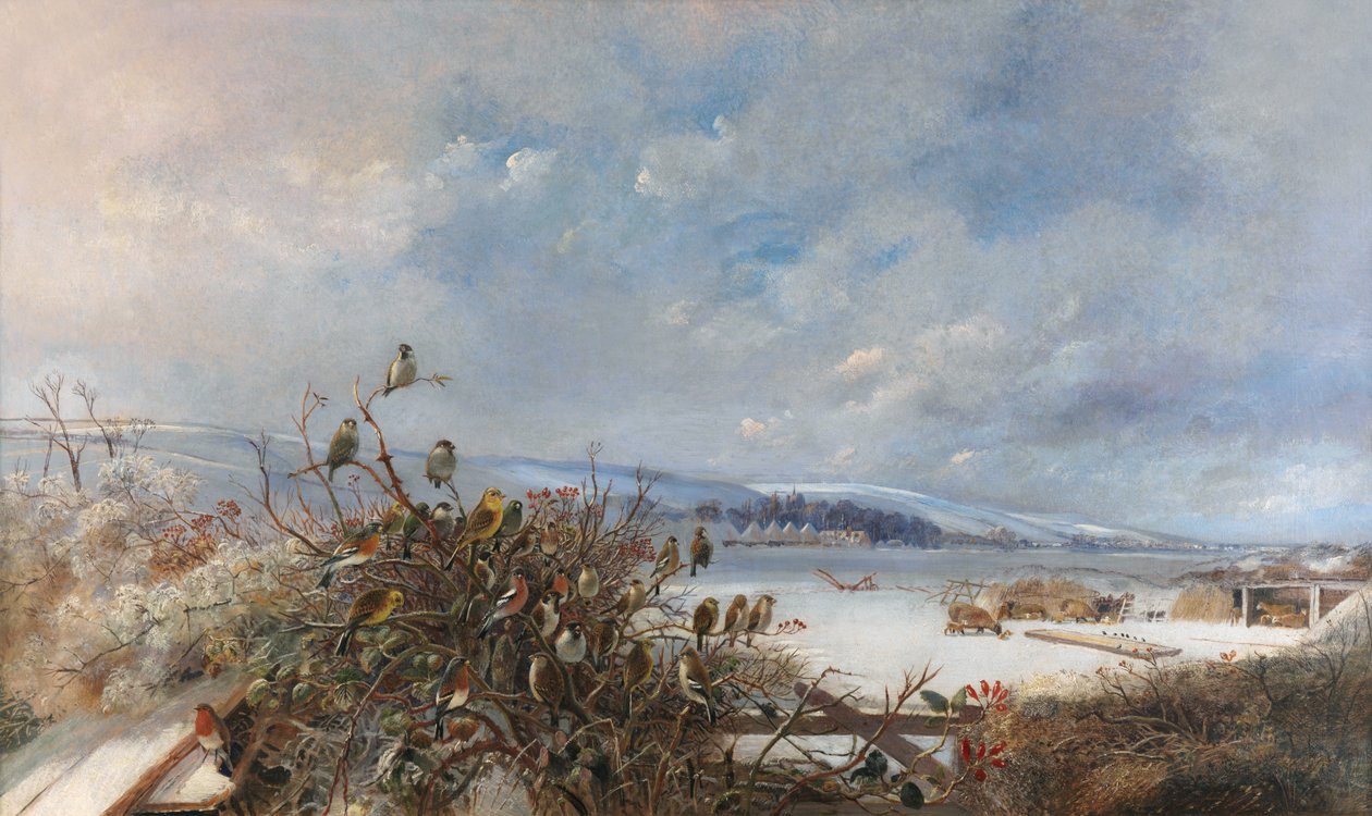 Fugle af en fjer af Charles Henry Clifford Baldwyn
