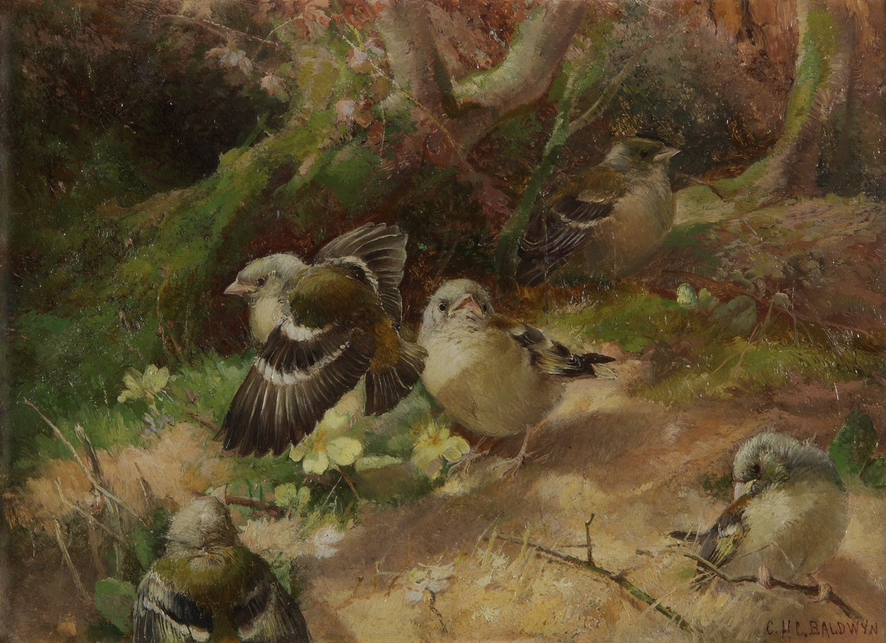 I Happy Woodland af Charles Henry Clifford Baldwyn