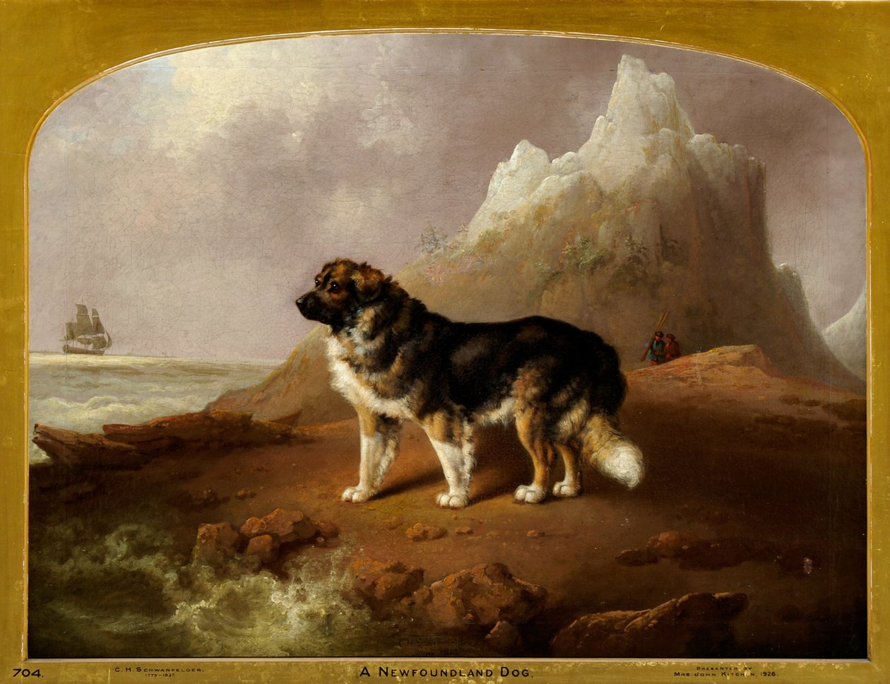 En Newfoundlandshund af Charles Henry Schwanfelder