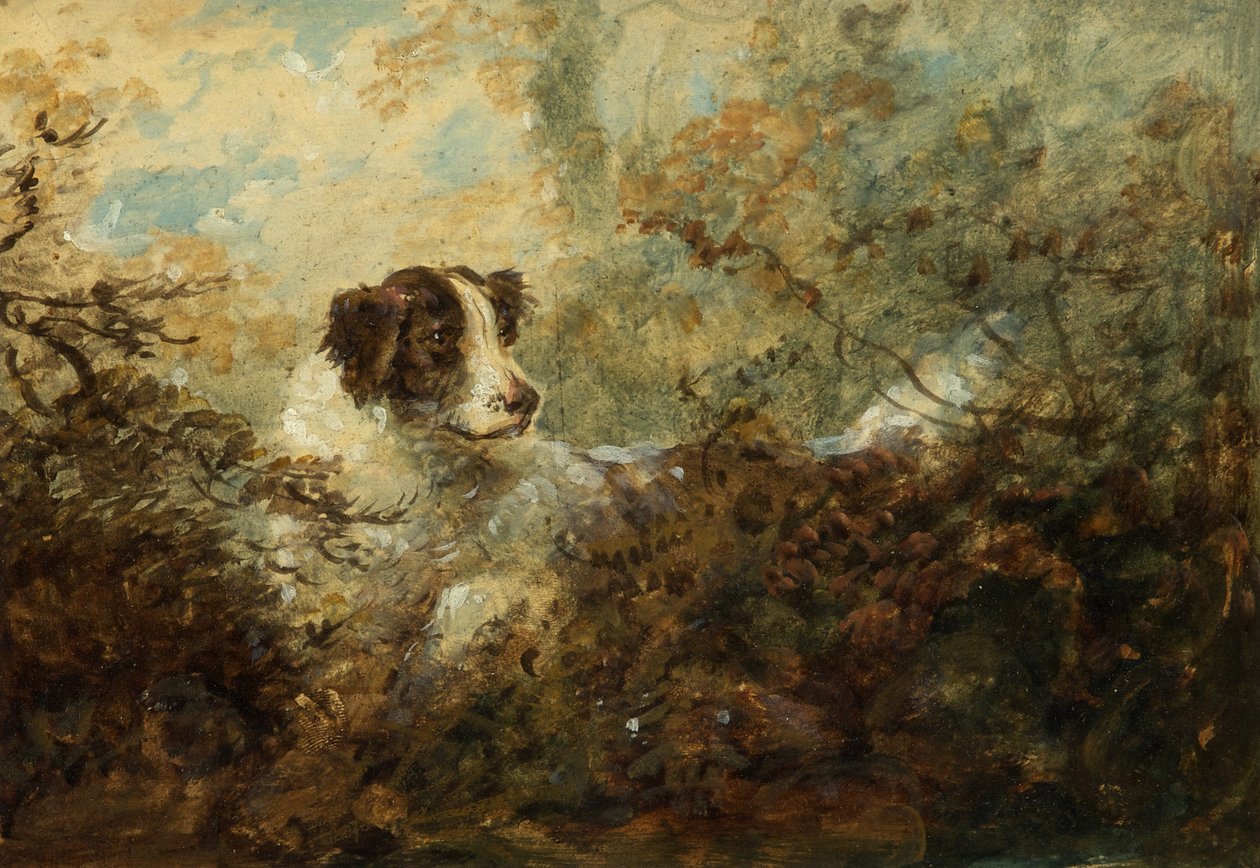Hund (olie om bord) af Charles Henry Schwanfelder
