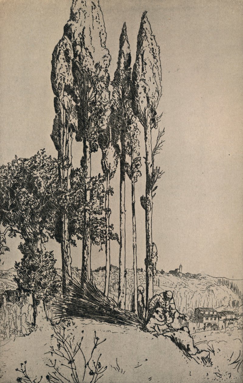 Cyprestræer nær Siena, 1903 af Charles Holroyd