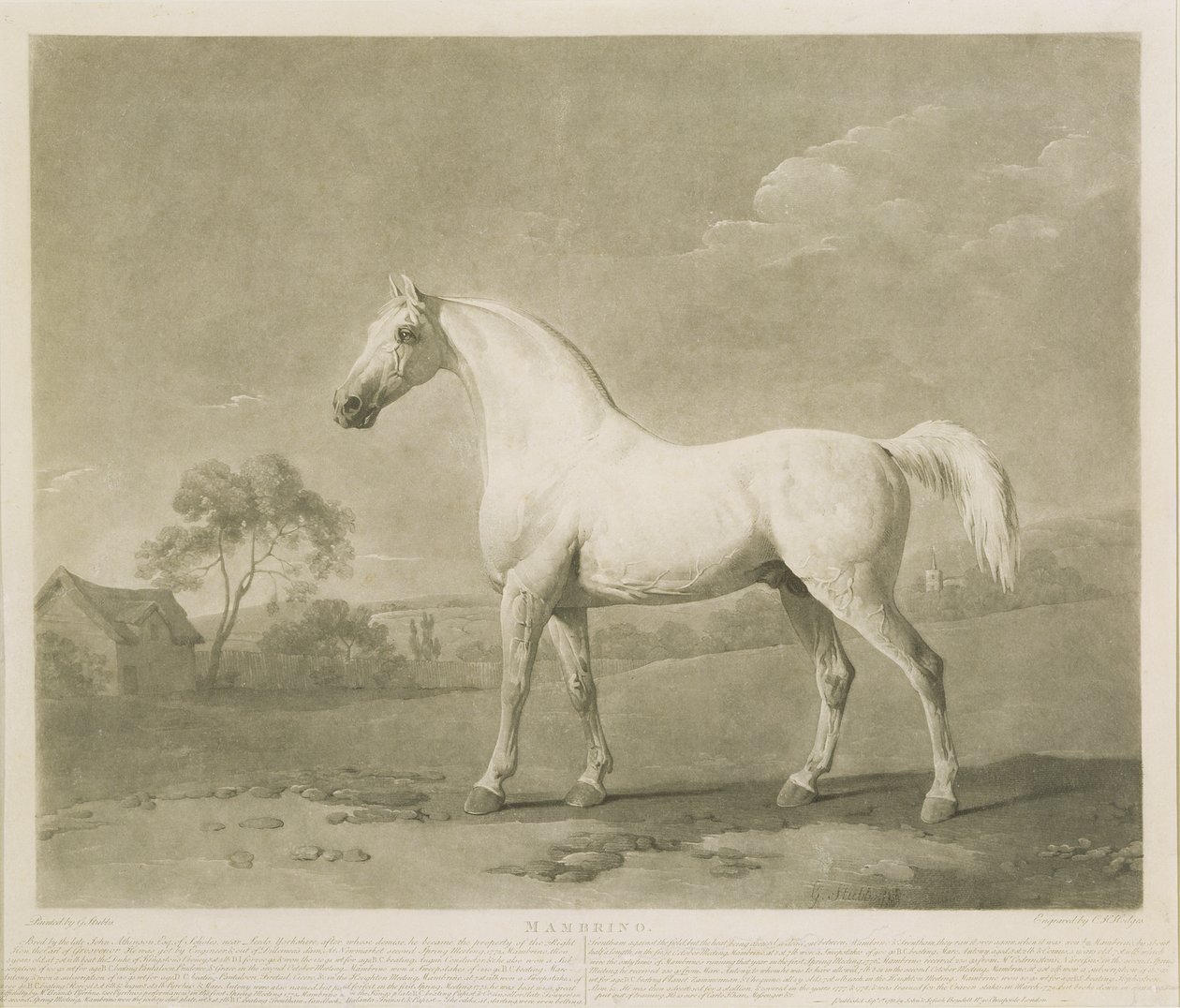 Mambrino, efter George Stubbs, 1788 (mezzotint) af Charles Howard Hodges