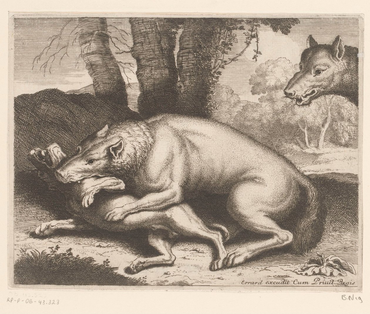 Hund angrebet af en ulv Dyreserie (serietitel) af Charles II Errard (attributed to)