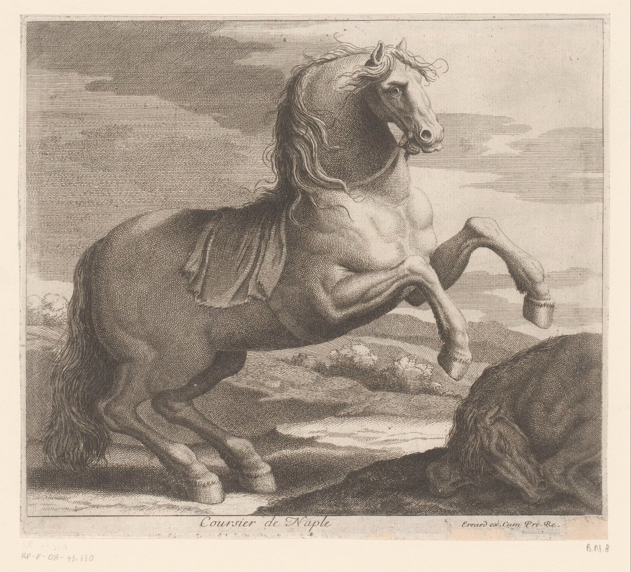 opdragende hest Coursier de Naples (titel på objekt) Dyreserie (serietitel) af Charles II Errard (attributed to)