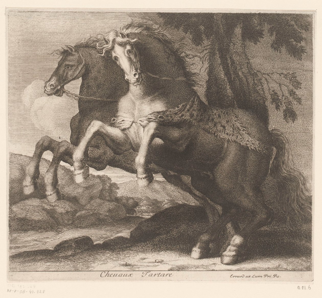 opdræt af heste Chevaux Tartare (titel på objekt) Dyreserie (serietitel) af Charles II Errard (attributed to)