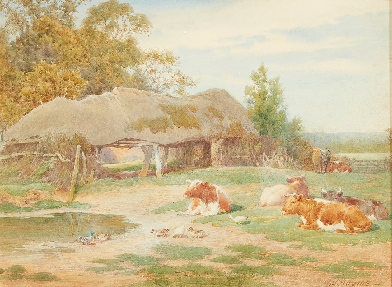 Kvæg hviler (akvarel) af Charles James Adams