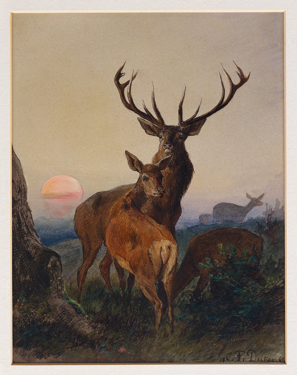En kronhjort med hjorte i et skovklædt landskab ved solnedgang, 1865 af Charles Jones