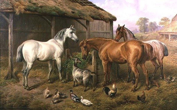 Gårdsvenner af Charles Jones