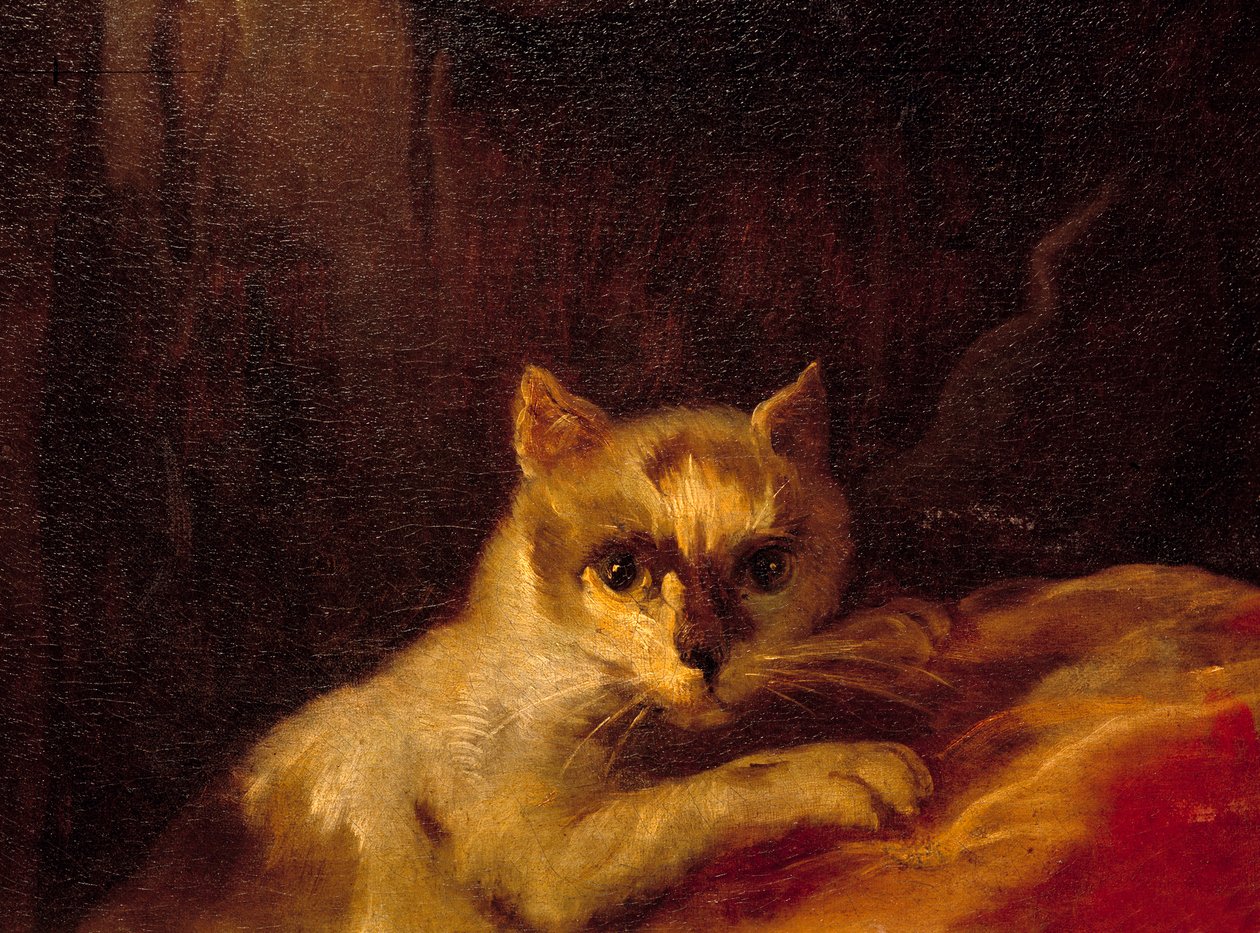 Mademoiselle de Charolais Detalje, der repræsenterer katten. Maleri af Charles Joseph Natoire (Charles-Joseph Natoire af Charles Joseph Natoire