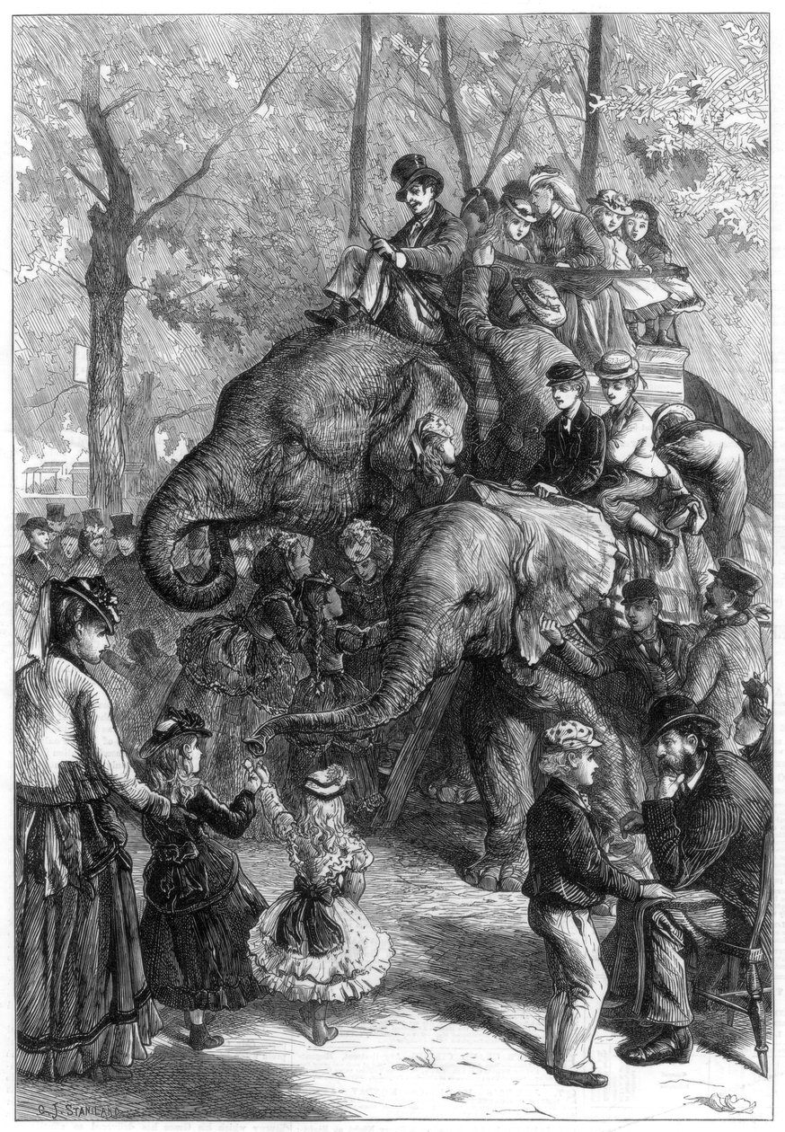 Mandag eftermiddag i zoologisk forenings haver, 1871. af Charles Joseph Staniland