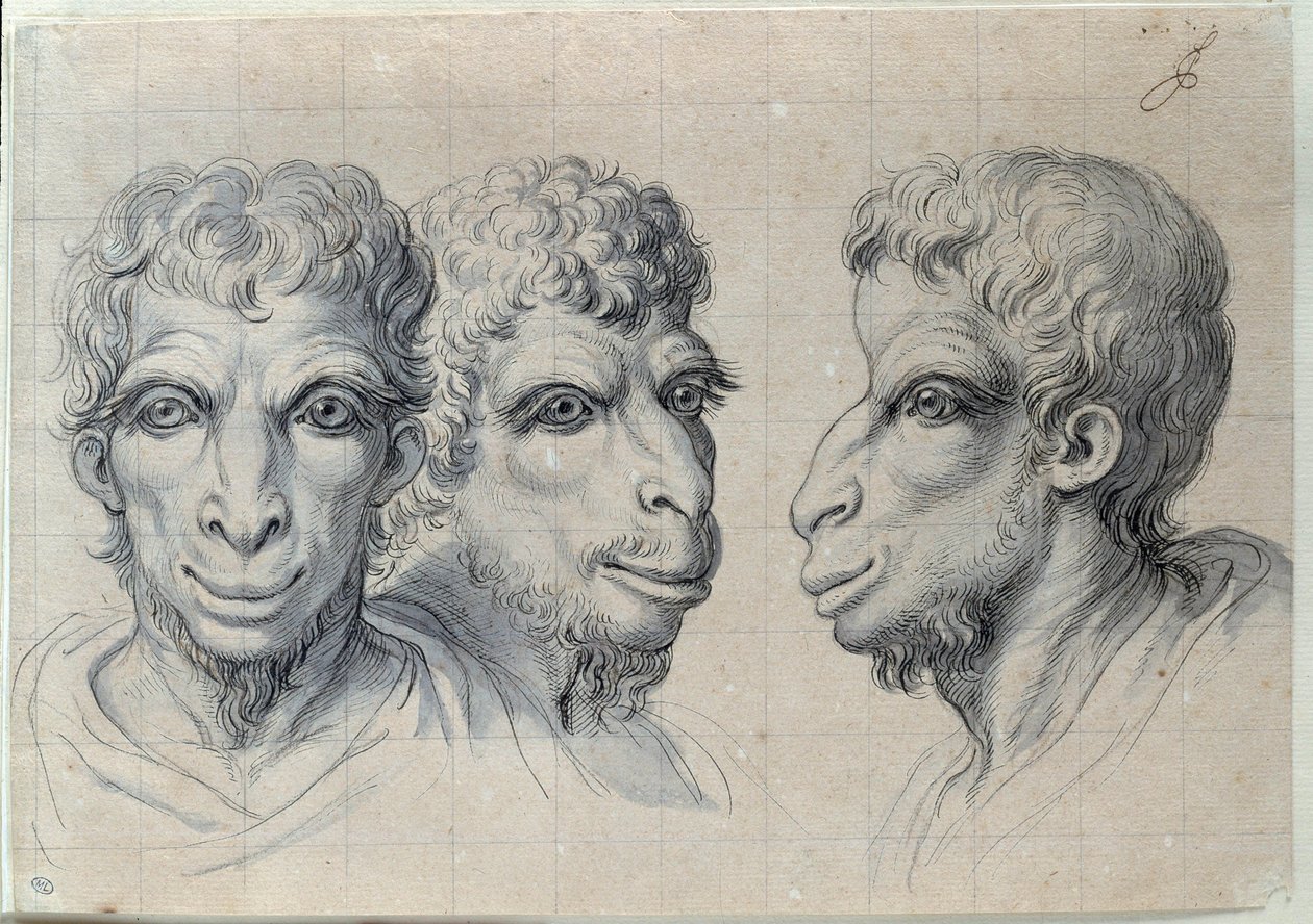 Studier af tre mænds hoveder, der minder om kamelens fysionomi Tegning af Charles Lebrun (Le Brun) (1619-1690) 17. århundrede. Svag. 0,22x0,32 m. Paris, Louvre-museet af Charles Le Brun