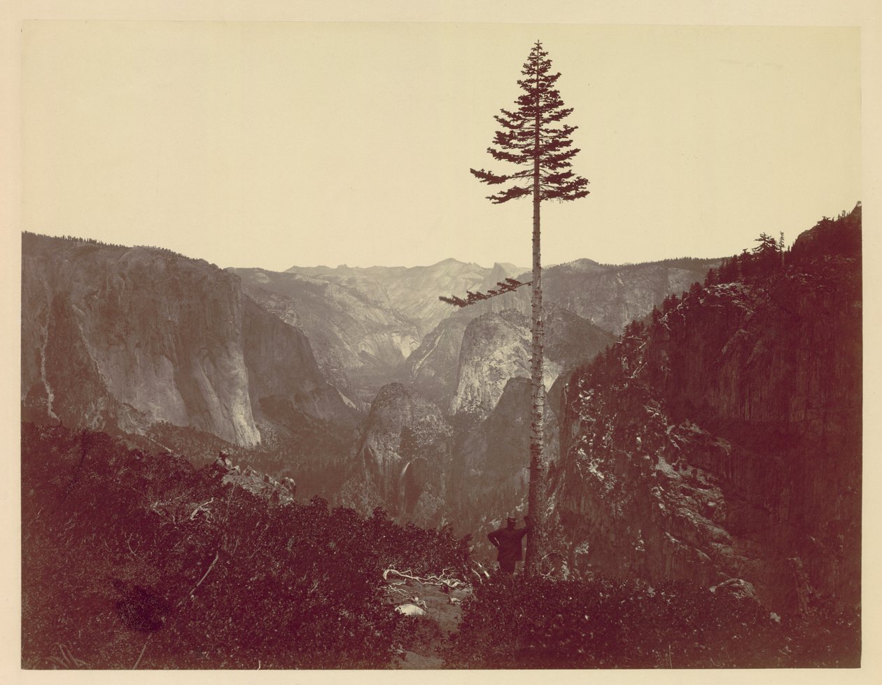 Yosemite Valley fra Mariposa Trail, ca. 1865. af Charles Leander Weed