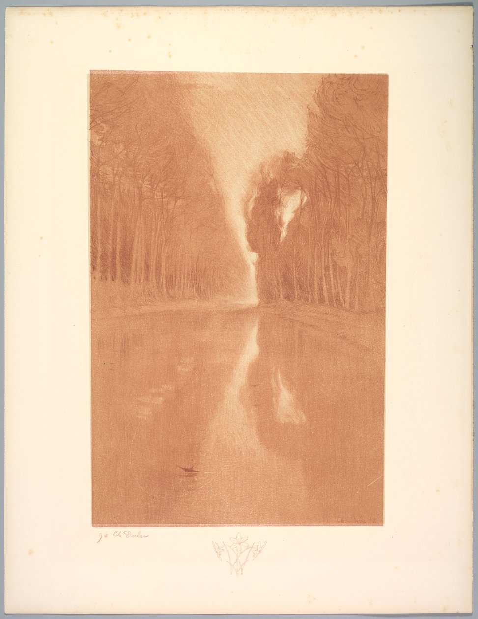Suite af Landskaber: Landskab, Plade 2, Note, Stjerneblomster af Charles Marie Dulac