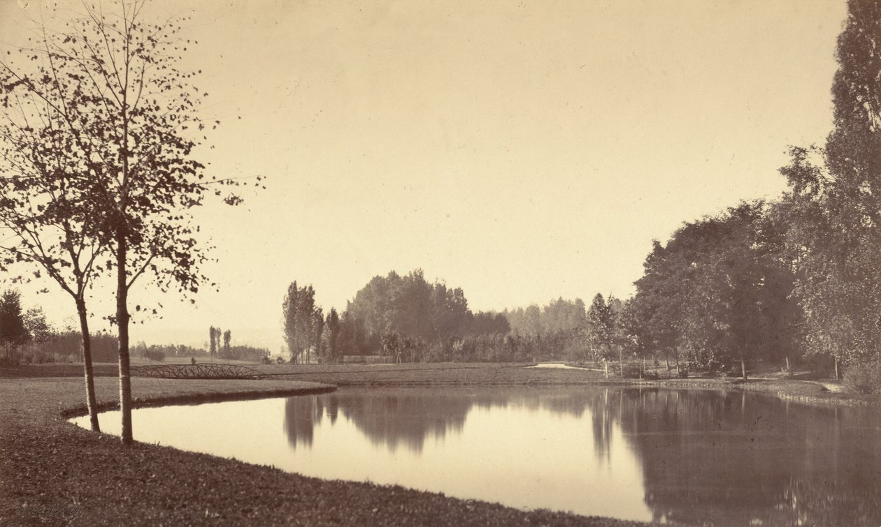 Bois de Boulogne af Charles Marville