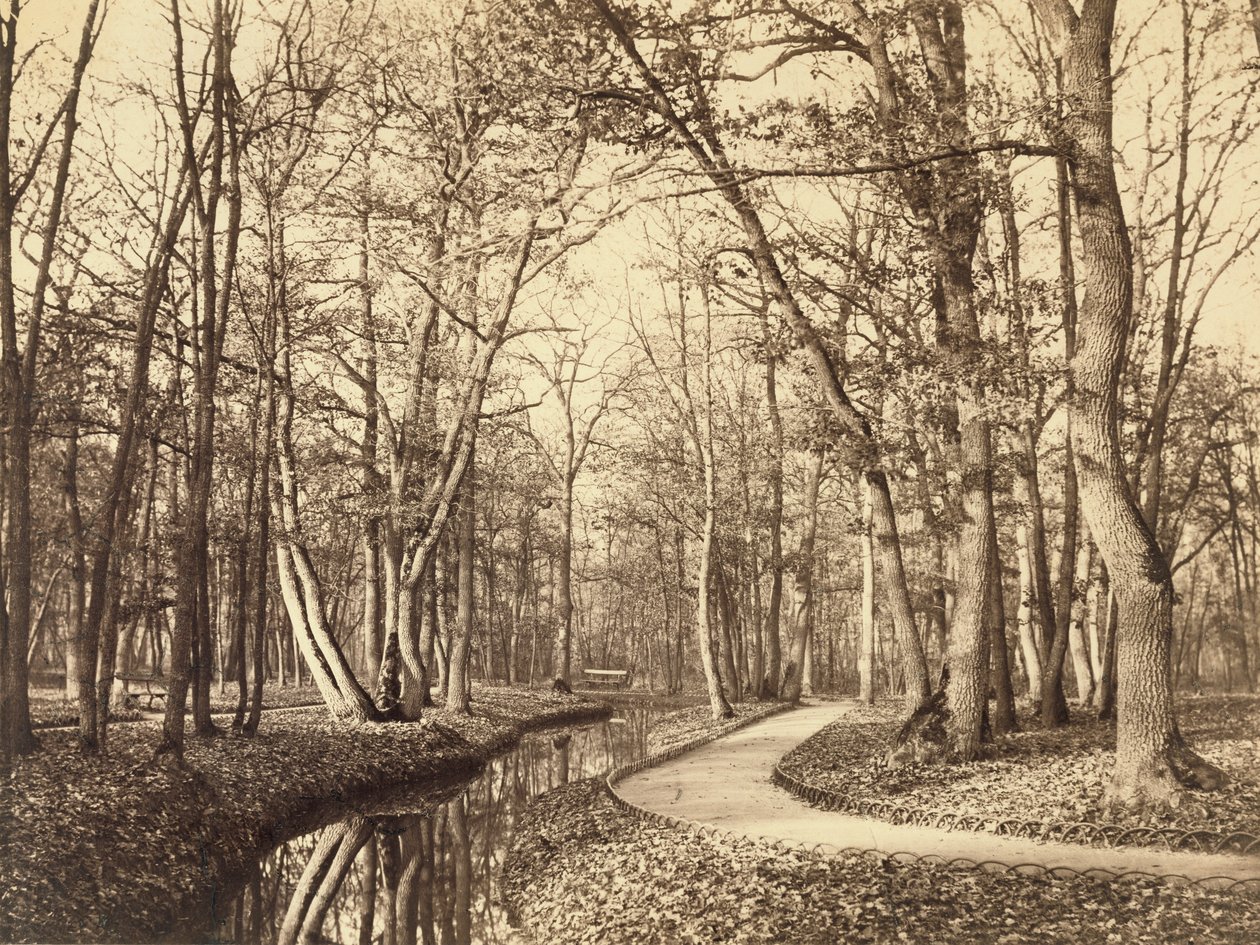 Bois de Boulogne, Paris af Charles Marville