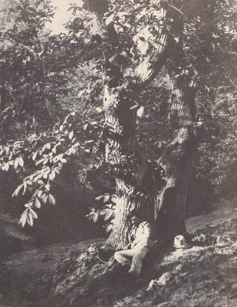 Mand tilbagelænet ved foden af ​​et kastanjetræ, 1850-53. af Charles Marville