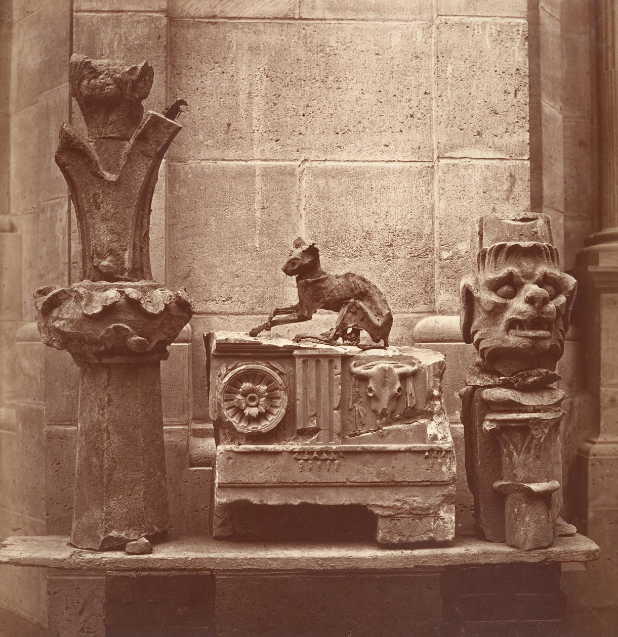Den mumificerede kat fundet i udgravningerne i Saint-Germain-en-Laye, ca. 1862. af Charles Marville