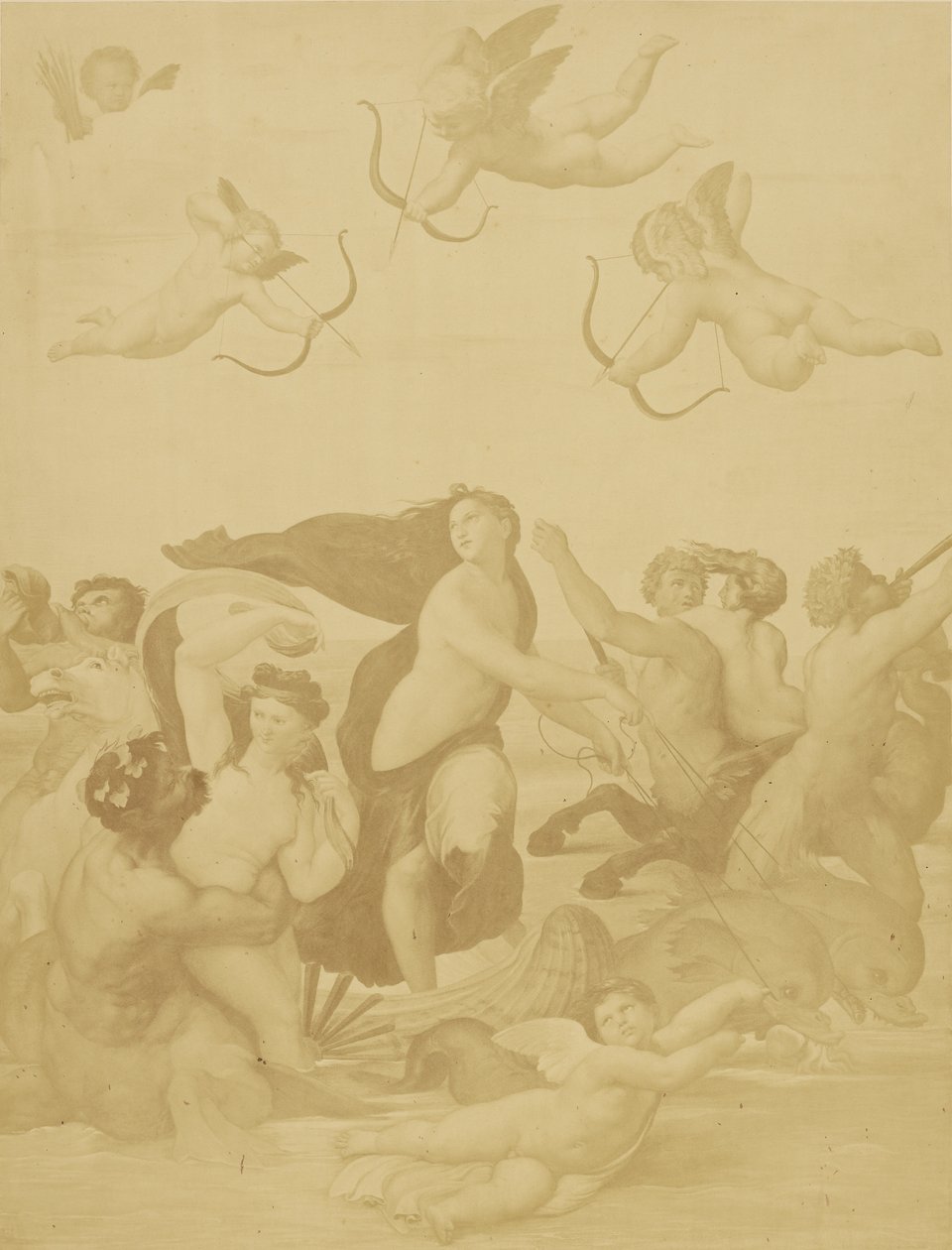 [Reproduktion af Galatea af Raphaël]. af Charles Marville