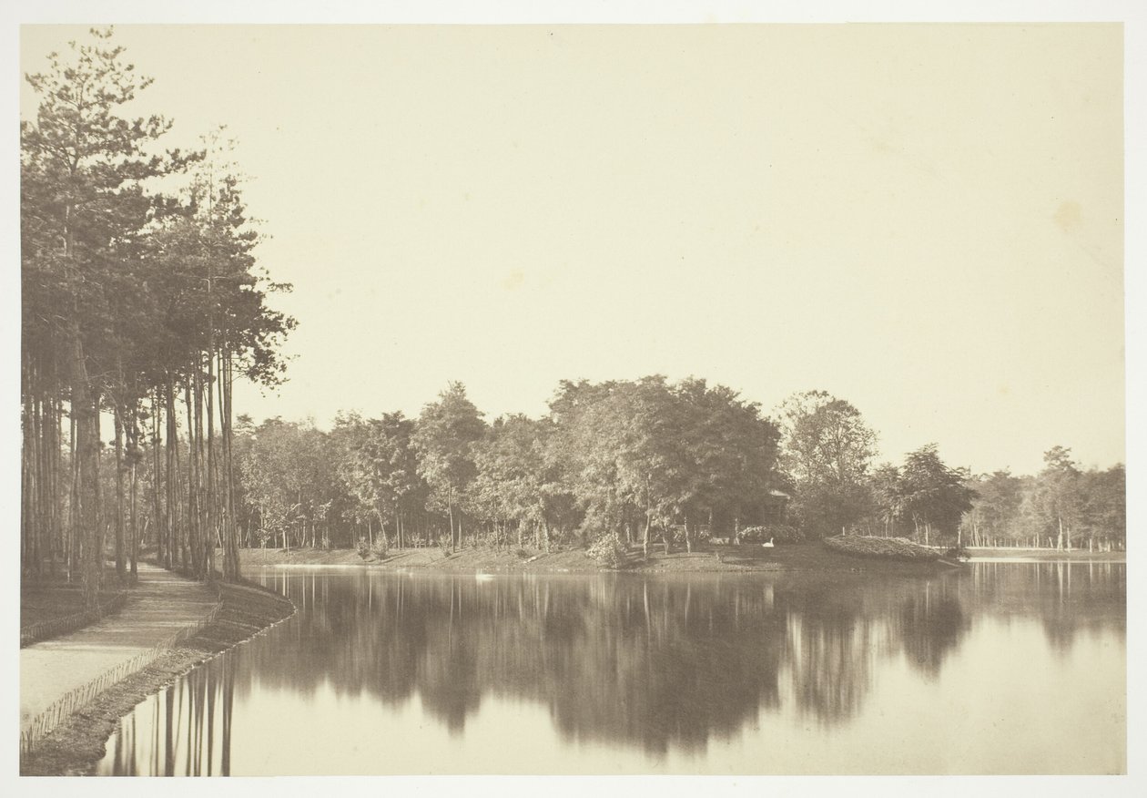 Uden titel af Charles Marville