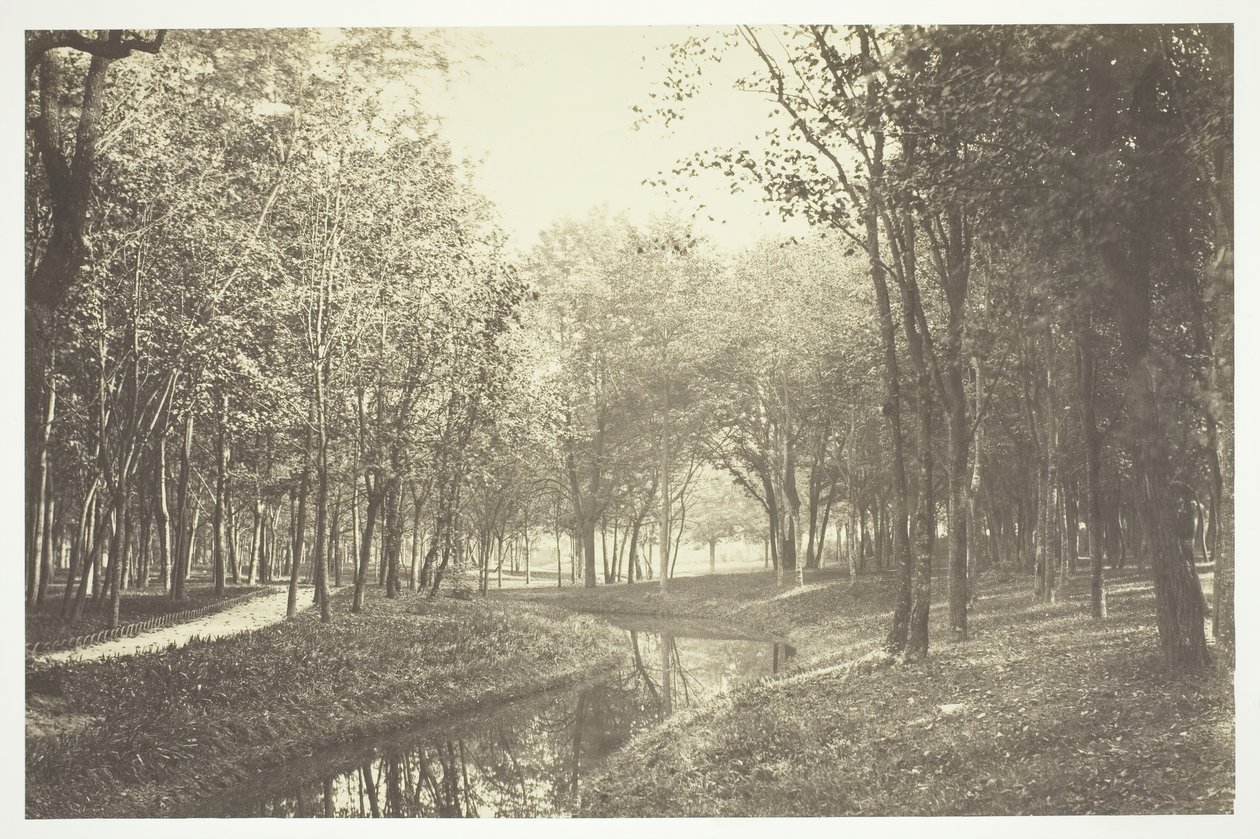 Uden titel, c. 1850. [Træer nær vand i Bois de Boulogne, en park i Paris]. af Charles Marville