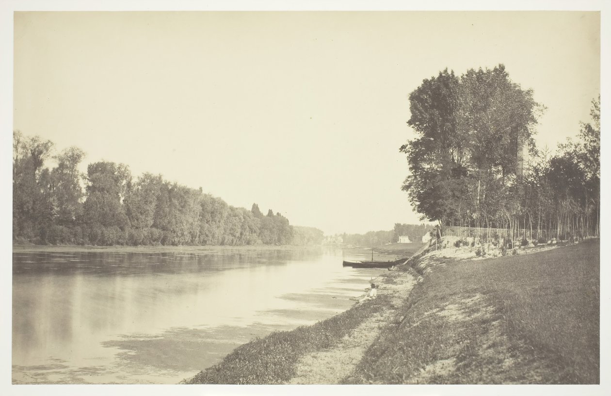 Uden titel, c. 1850. [Træer nær vand i Bois de Boulogne, en park i Paris]. af Charles Marville