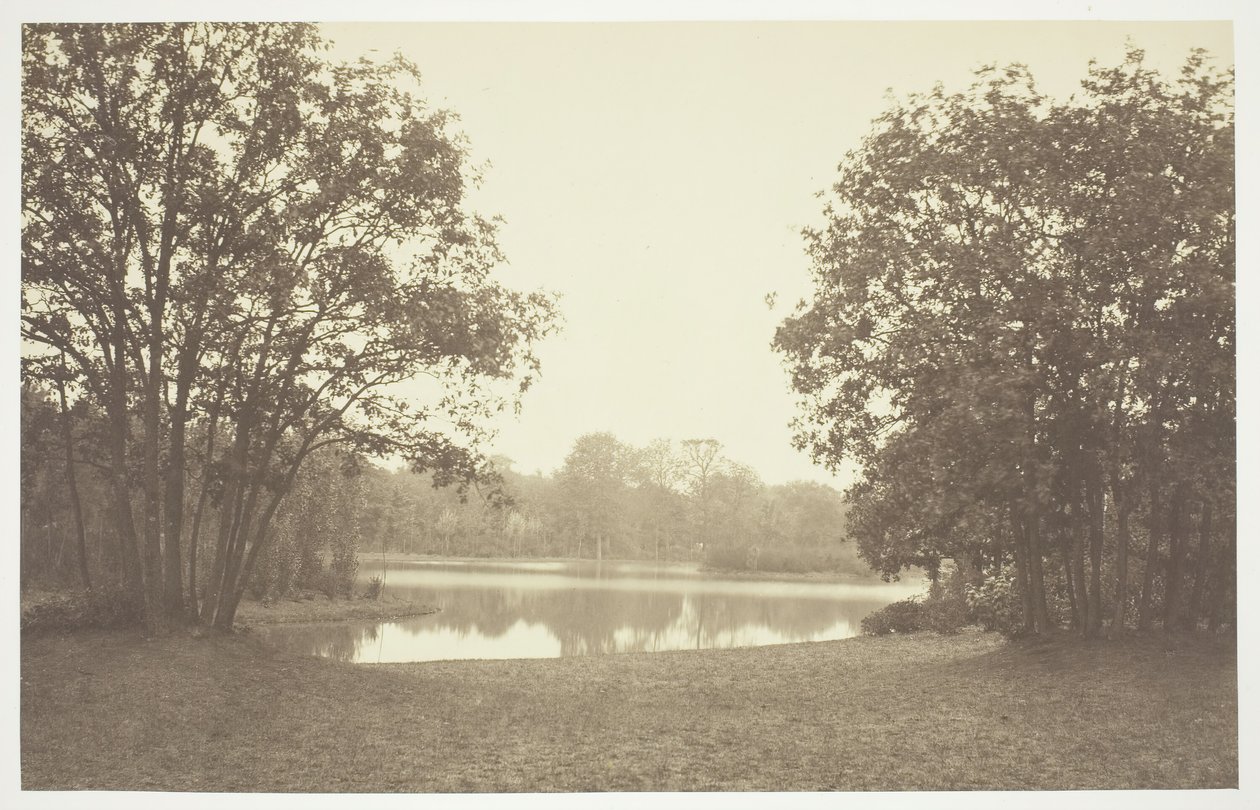 Uden titel, c. 1850. [Træer nær vand i Bois de Boulogne, en park i Paris]. af Charles Marville