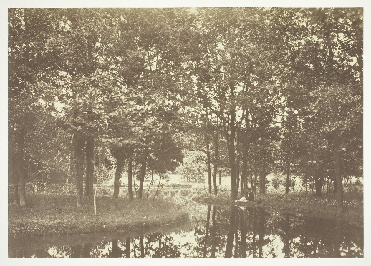Uden titel, c. 1850. [Træer nær vand i Bois de Boulogne, en park i Paris]. af Charles Marville