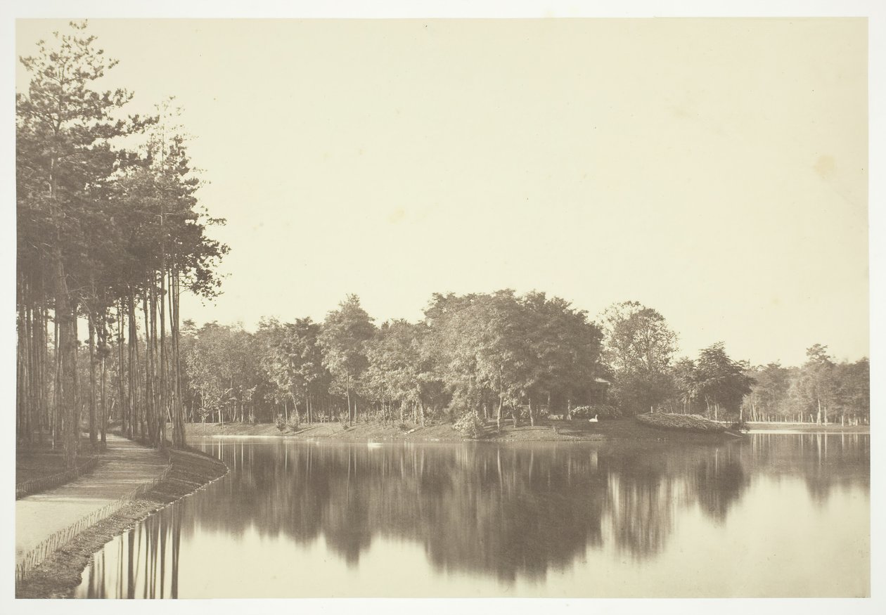 Uden titel, c. 1850. [Træer nær vand i Bois de Boulogne, en park i Paris]. af Charles Marville