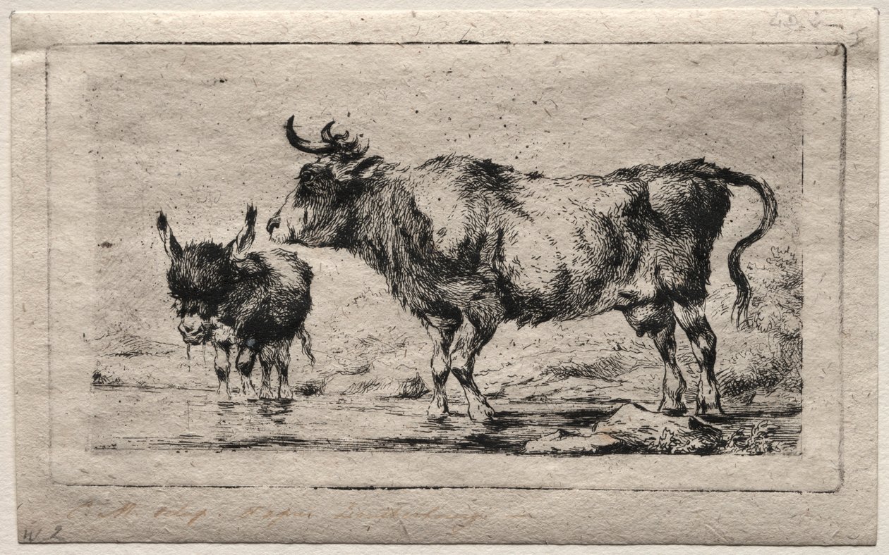 Ko og Æsel, 1849. af Charles Meryon