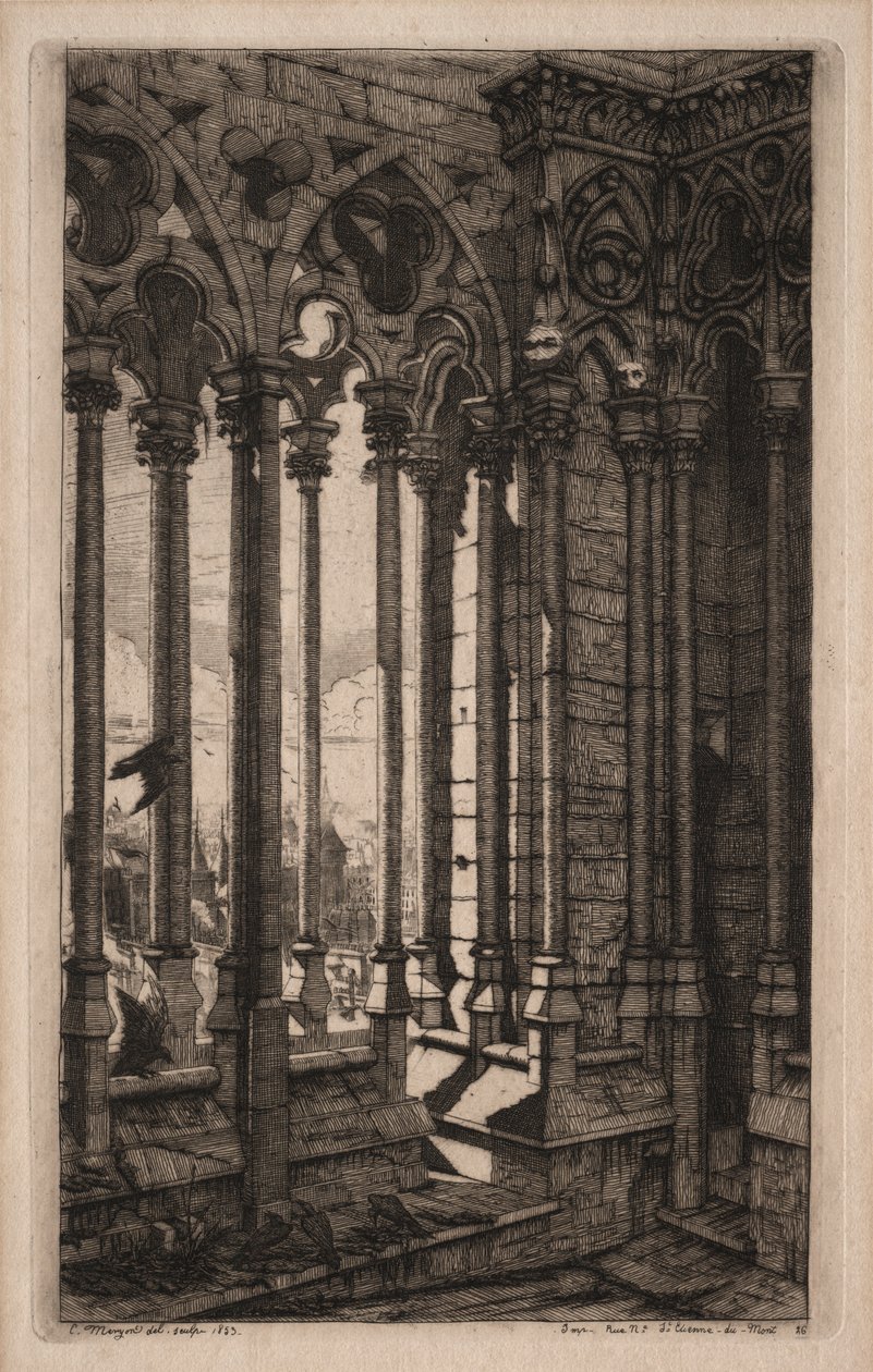 Etchings of Paris: The Gallery of Notre Dame, 1853. af Charles Meryon