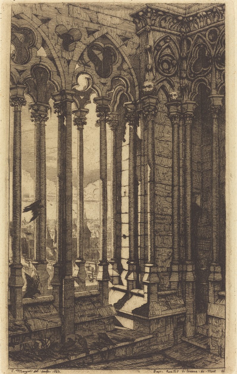 The Gallery of Notre Dame, Paris (The Gallery of Notre Dame, Paris) af Charles Meryon