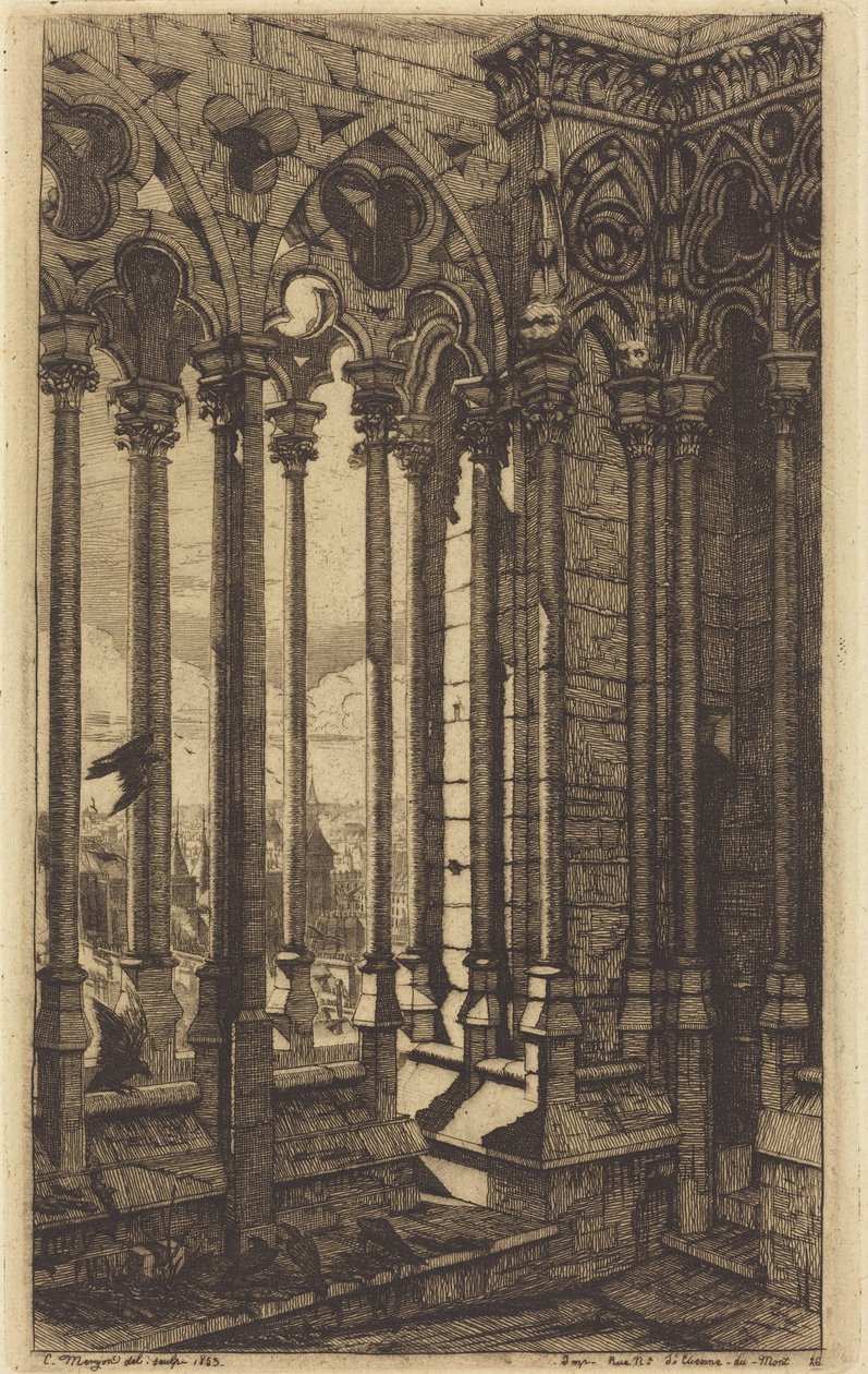 Notre-Dame-galleriet, Paris (The Gallery of Notre Dame, Paris) af Charles Meryon