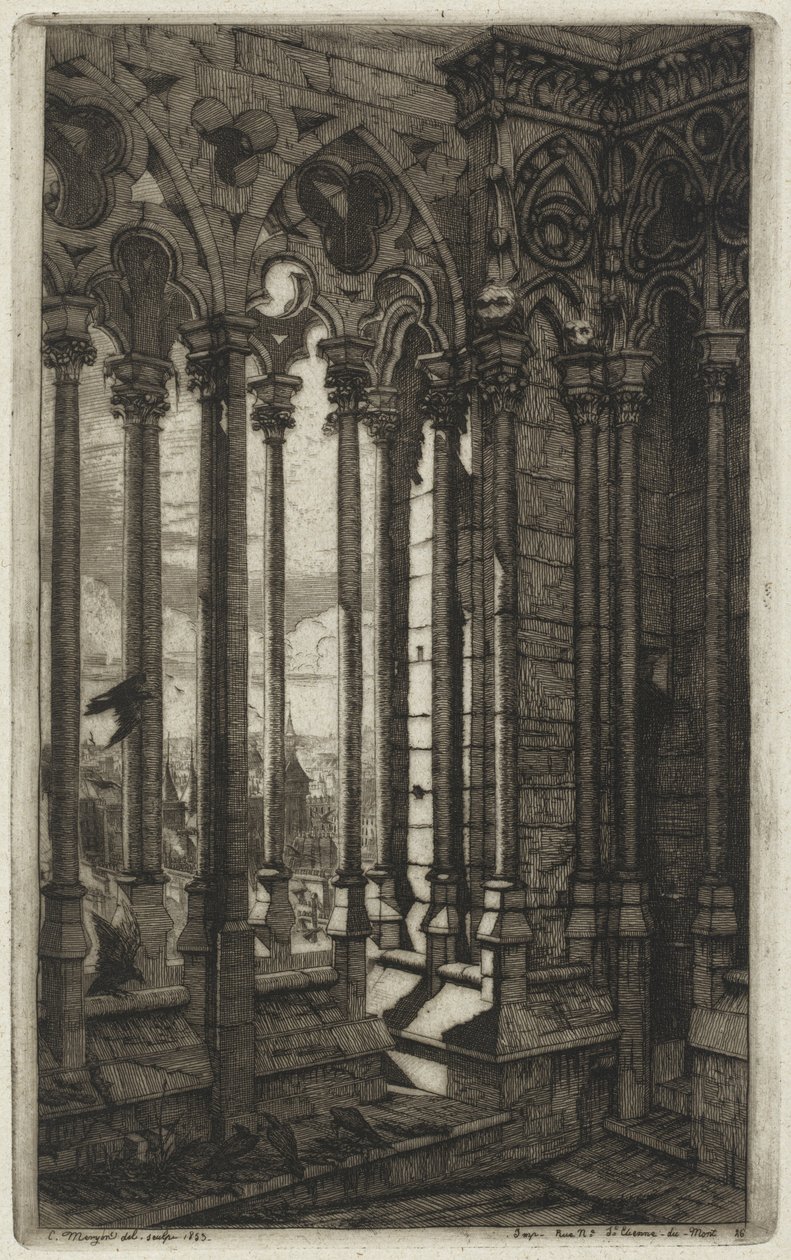 Notre-Dame-galleriet, Paris (The Gallery of Notre Dame, Paris) af Charles Meryon