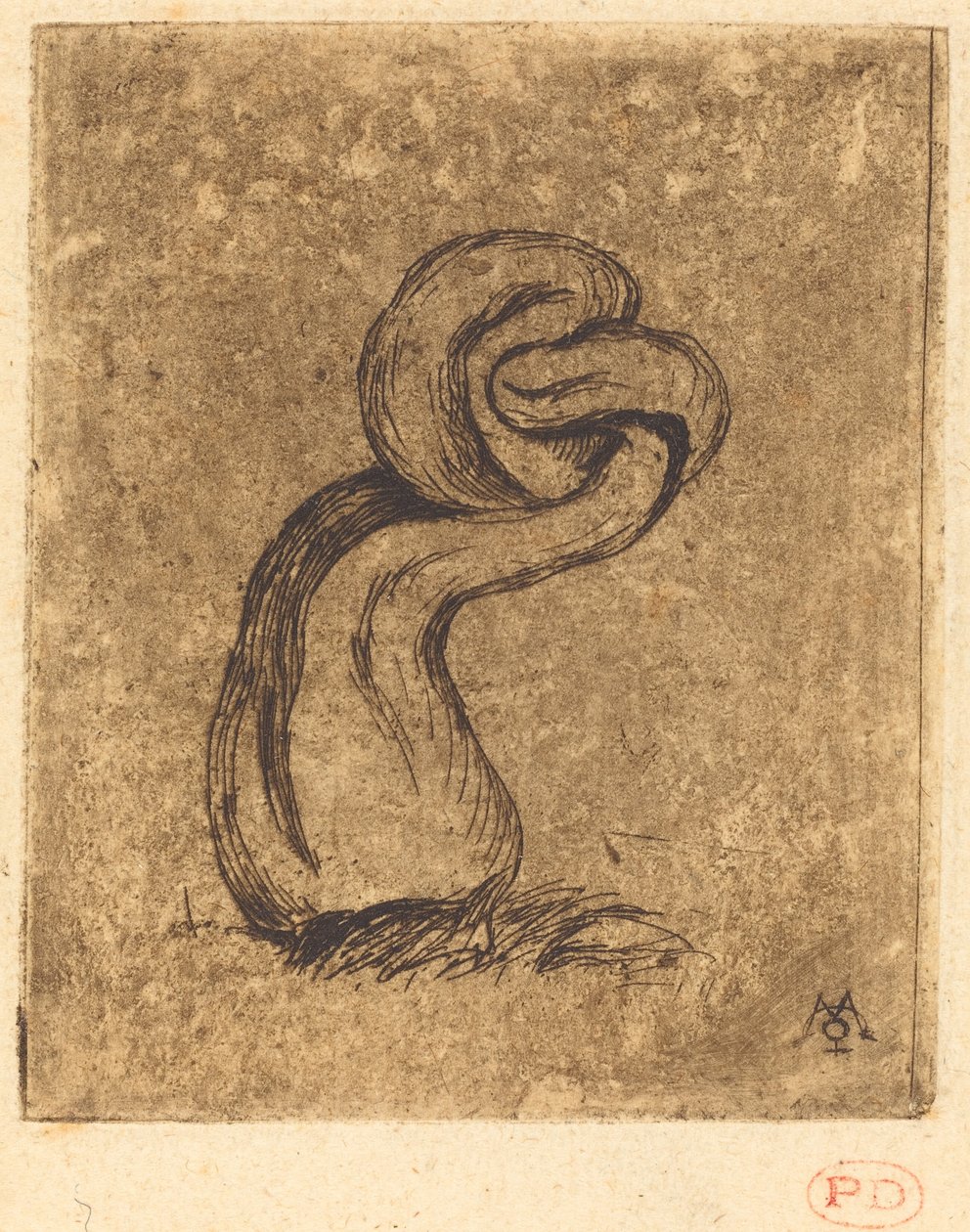 Le malingre cryptogame (The Sickly Cryptogam) af Charles Meryon