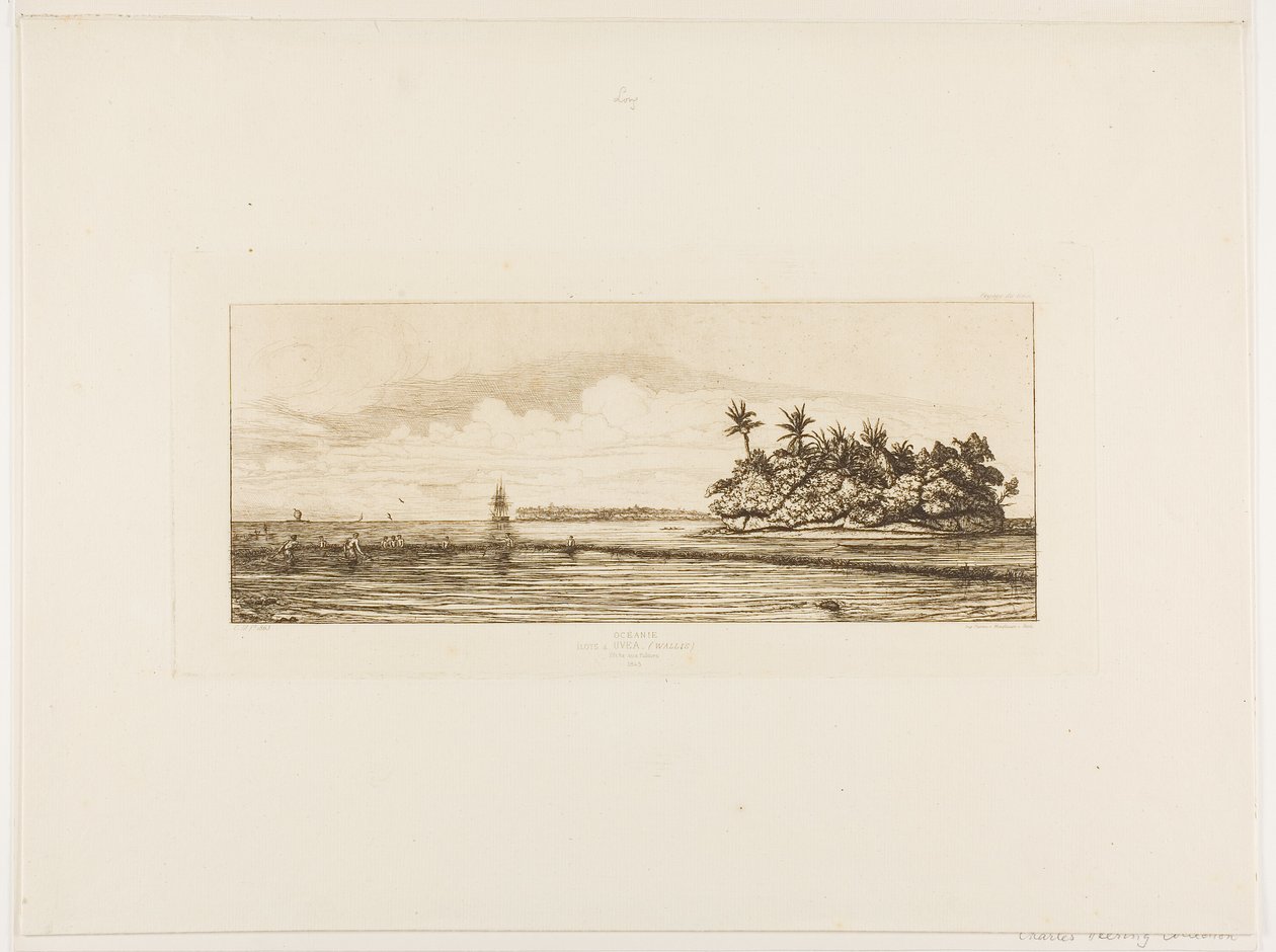 Oceanien: Fiskeri, nær øer med palmer i Uea eller Wallis-gruppen, 1845 af Charles Meryon