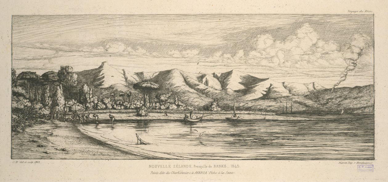 Banks halvø, spids kaldet Charbonniers, i Akaroa, notfiskeri, illustration fra 