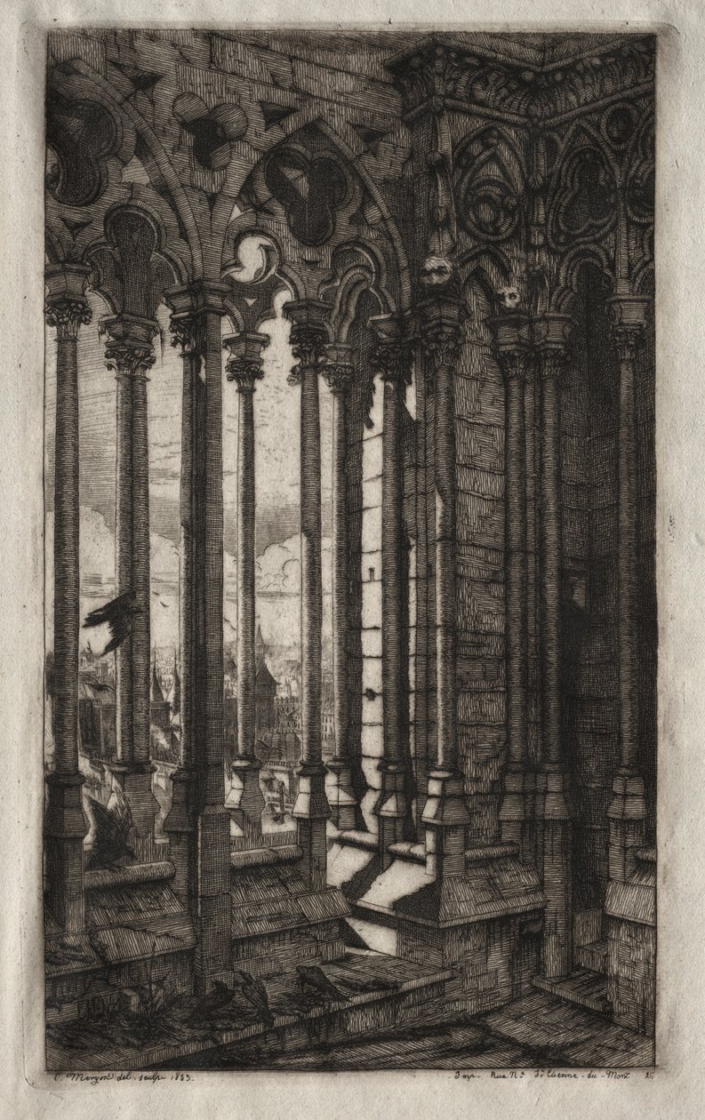 The ætsning af Paris: Galleriet med Notre Dame af Charles Meryon