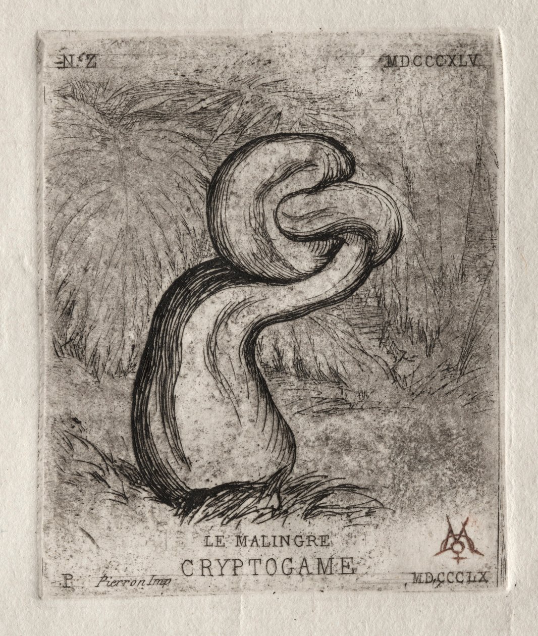 Det sygelige kryptogam, 1860. af Charles Meryon